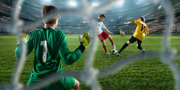 他们的高效 他们的高效